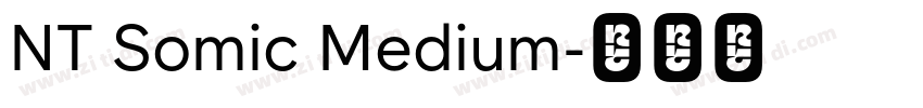 NT Somic Medium字体转换